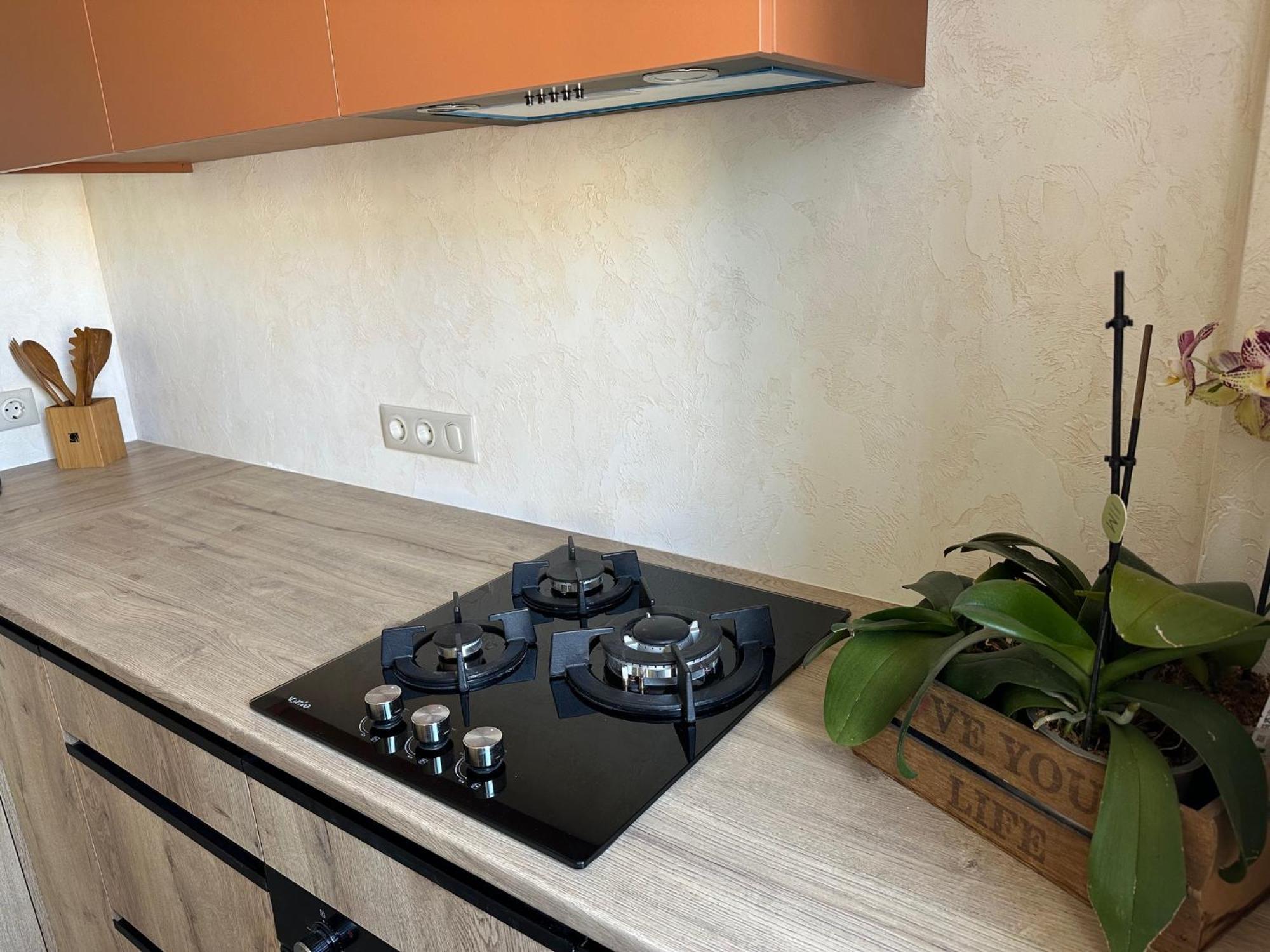 Terracotta Apartment Kremenchuk Ngoại thất bức ảnh